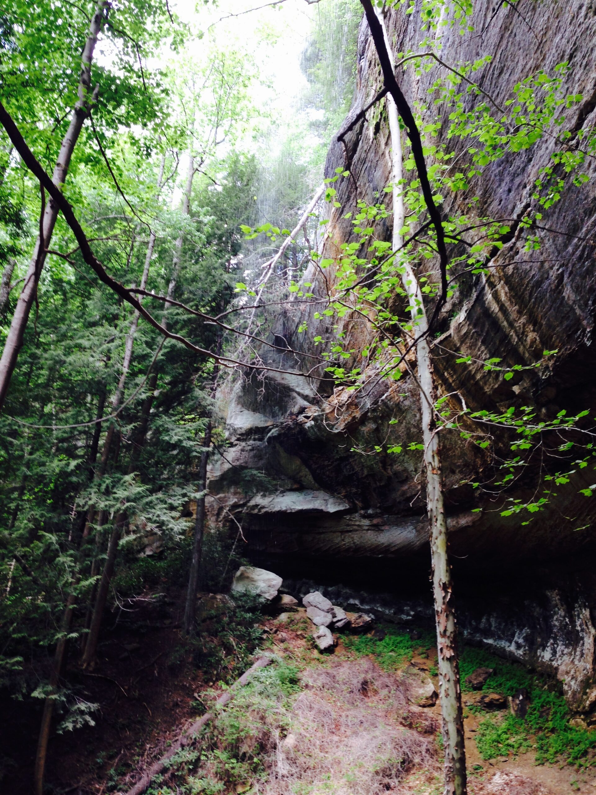 Fall Foliage at Red River Gorge: Your Complete Guide