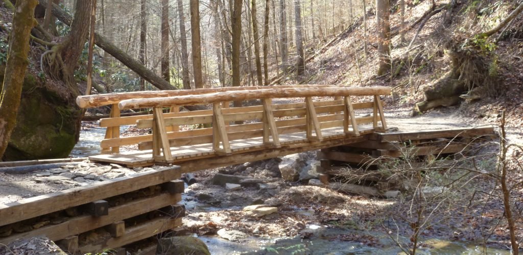 Best Hikes Near Red River Gorge for Every Level